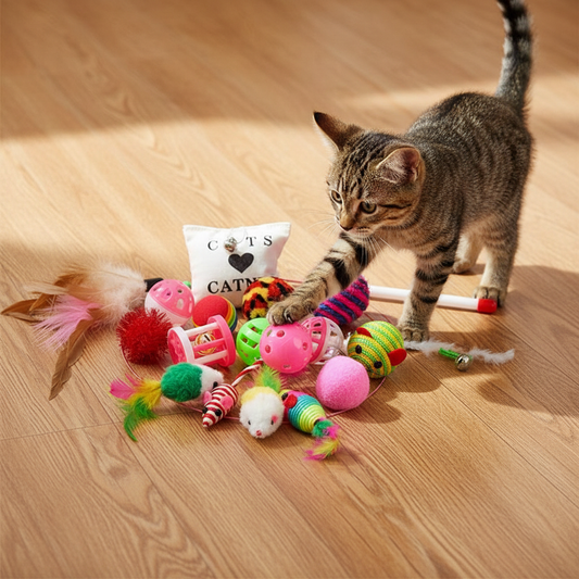 16‑Piece Cat Toy Set + Teaser Wand – Balls, Mice, Feathers & Bells (Multicolor)